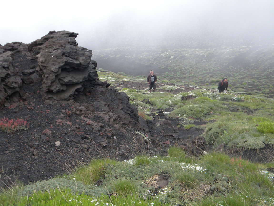 DSCN9523 .JPG